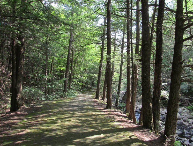Granville State Forest, Massachusetts, USA